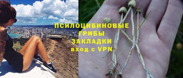 спайс Алексин