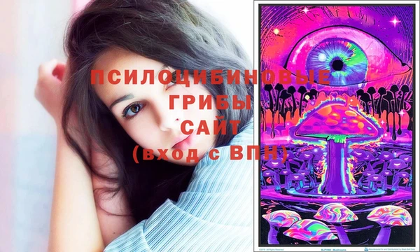 спайс Алексин